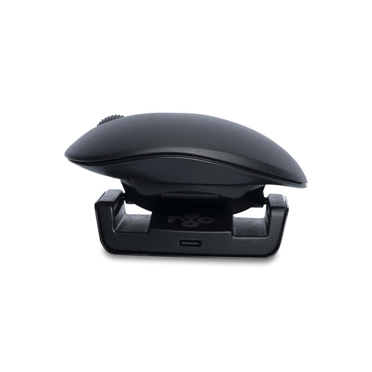 R-GO Tools Mouse USB Optical Wireless Twister - Black