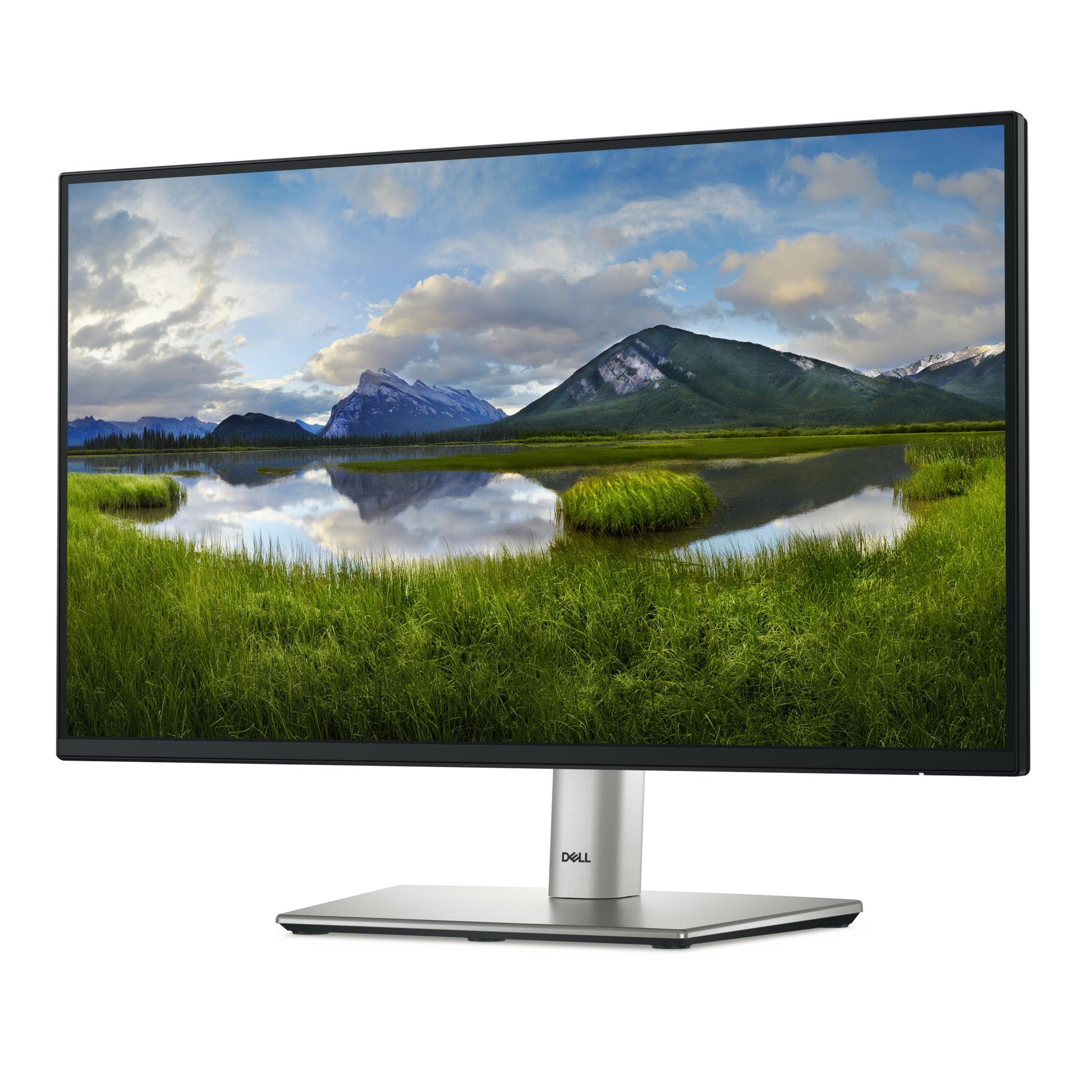 Dell LCD Monitor Dell P2225H 21.5" Business Panel IPS 1920X1080 16:9 100 Hz Speakers Swivel Pivot Height Adjustable Tilt