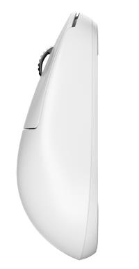 Pulsar Mouse USB Optical Wireless X2H - Medium