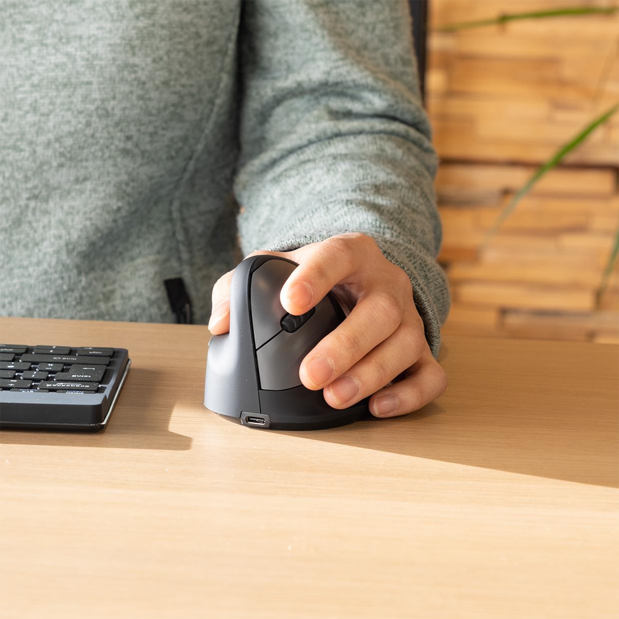 R-GO Tools Mouse USB Optical Wireless - L. BLK