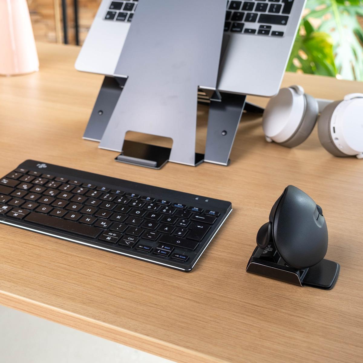 R-GO Tools Mouse USB Optical Wireless Twister - Black