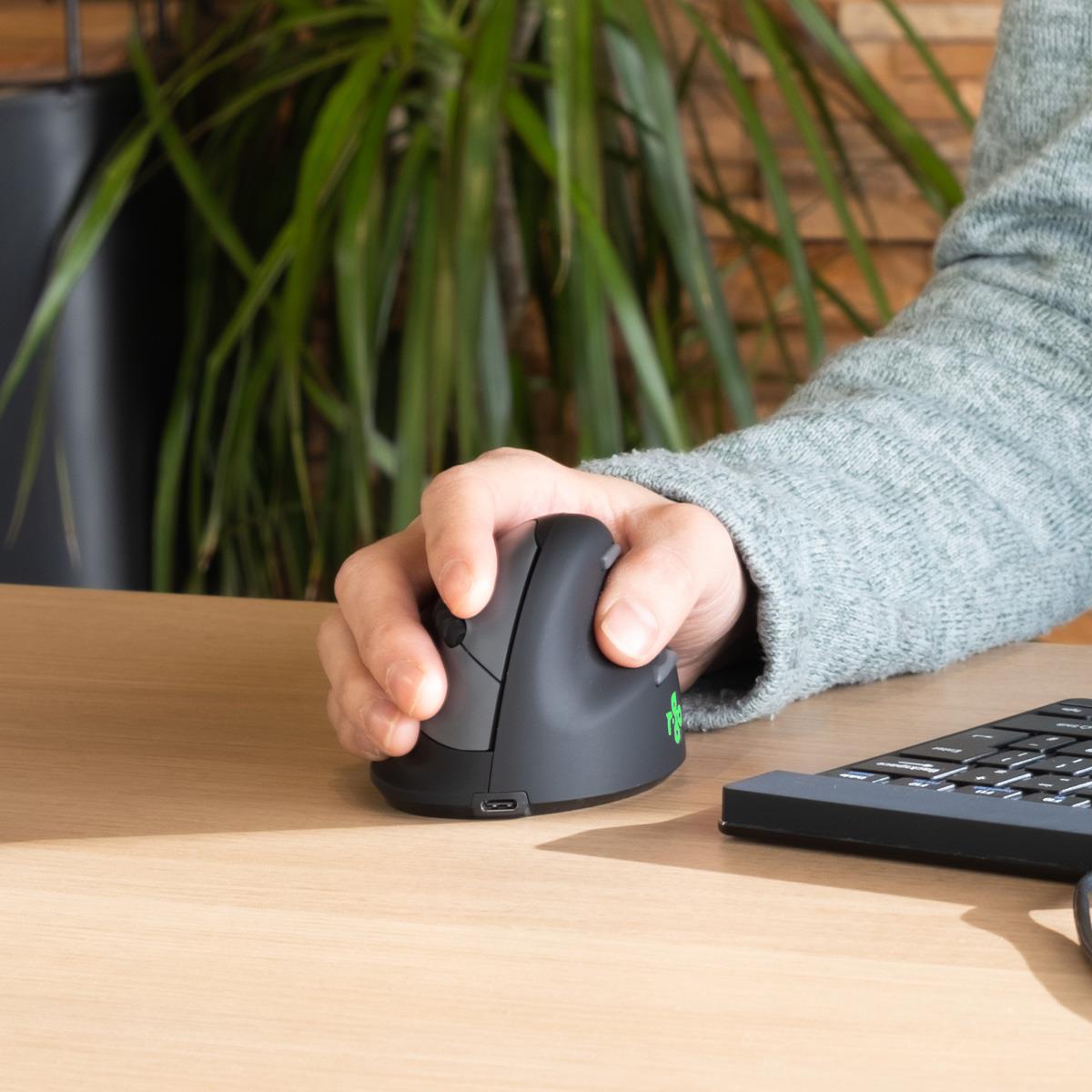 R-GO Tools Mouse USB Optical Break - Black