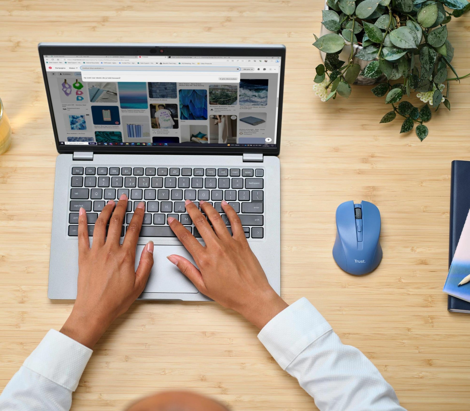 Trust Mouse USB Optical Wireless Blue - Mydo