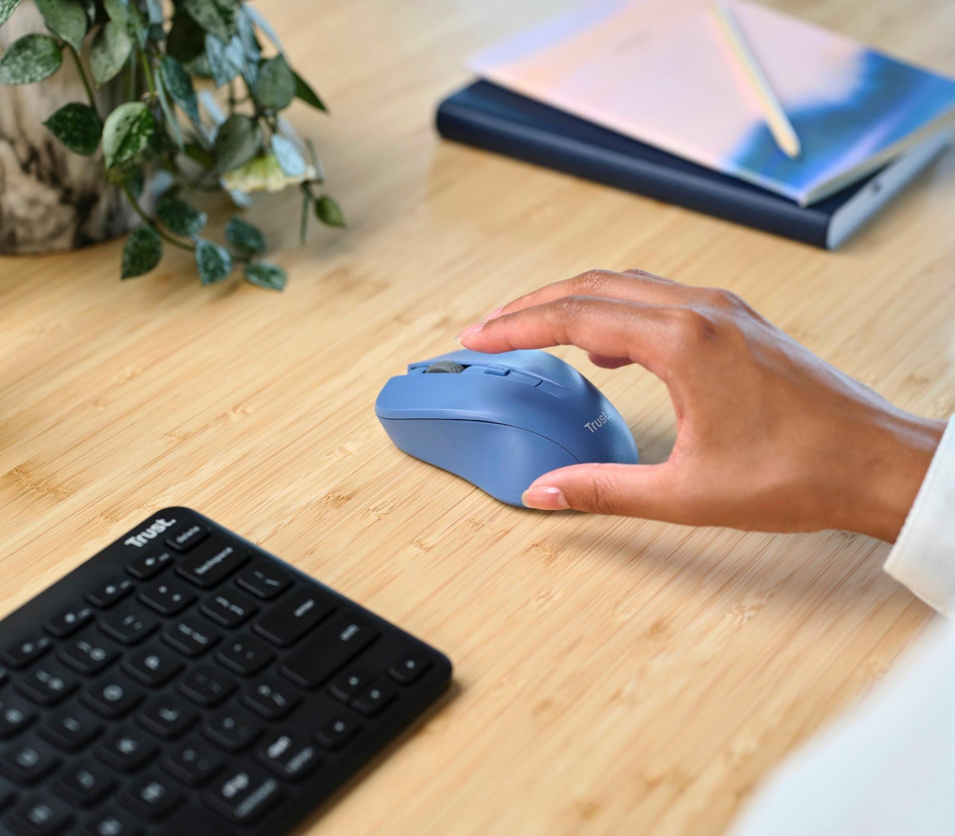 Trust Mouse USB Optical Wireless Blue - Mydo